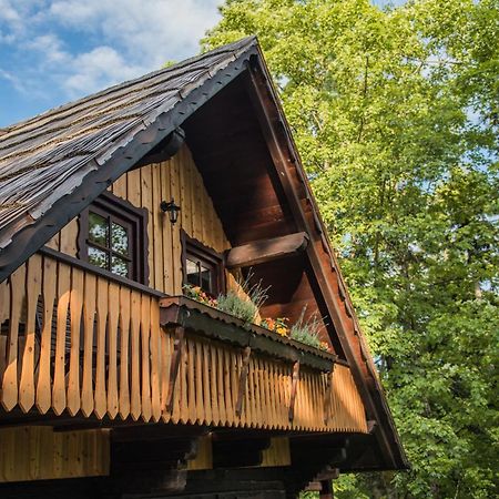 Вилла Pocitniska Hisa Koca Dobnik Lovrenc na Pohorju Экстерьер фото