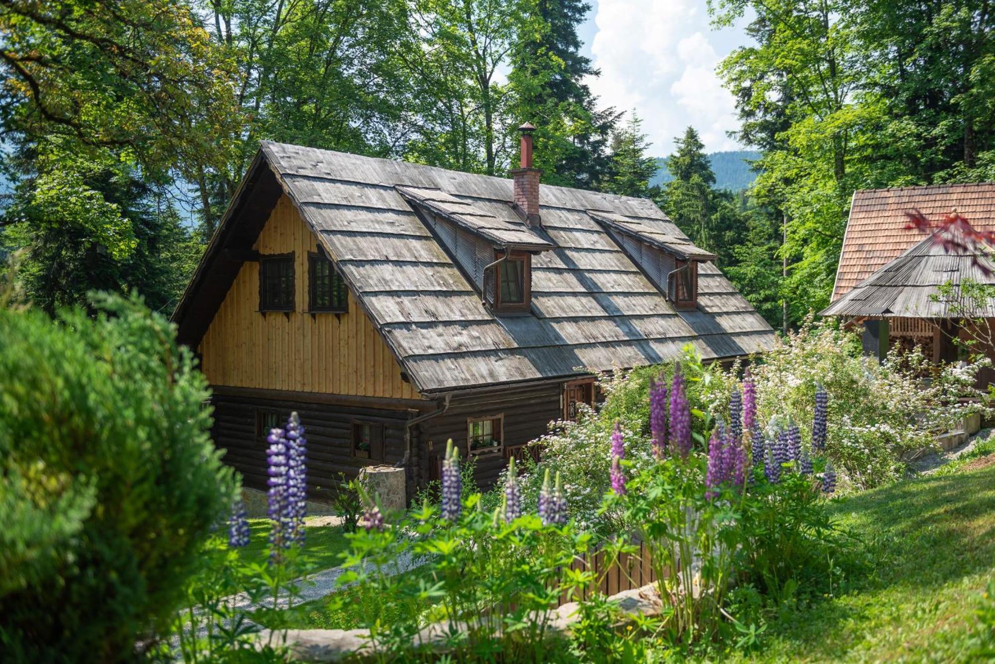 Вилла Pocitniska Hisa Koca Dobnik Lovrenc na Pohorju Экстерьер фото