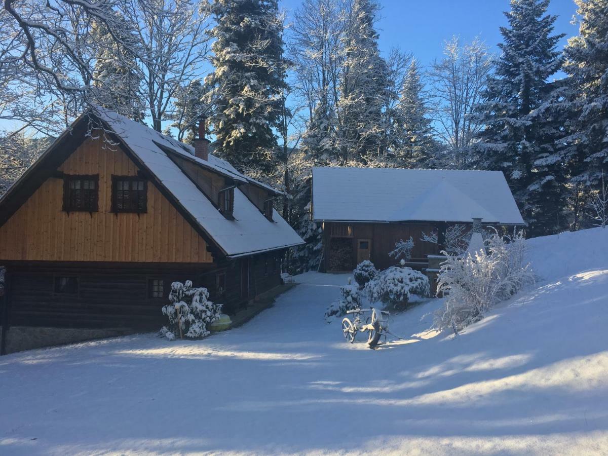 Вилла Pocitniska Hisa Koca Dobnik Lovrenc na Pohorju Экстерьер фото