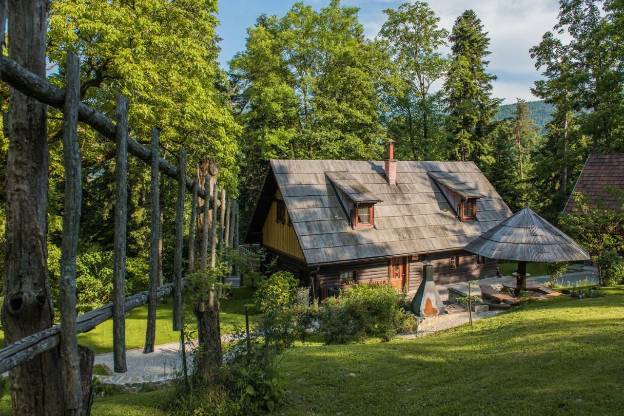 Вилла Pocitniska Hisa Koca Dobnik Lovrenc na Pohorju Экстерьер фото