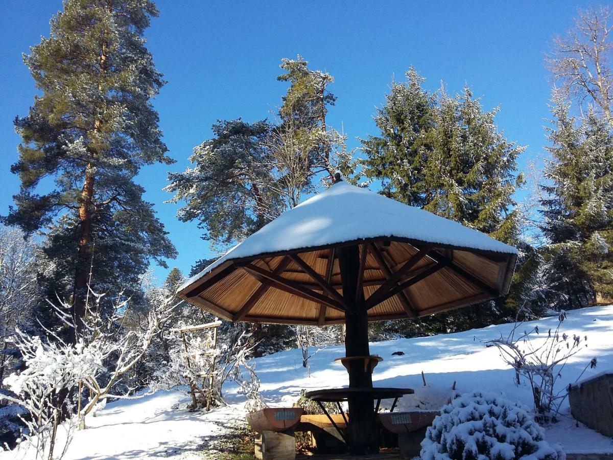 Вилла Pocitniska Hisa Koca Dobnik Lovrenc na Pohorju Экстерьер фото